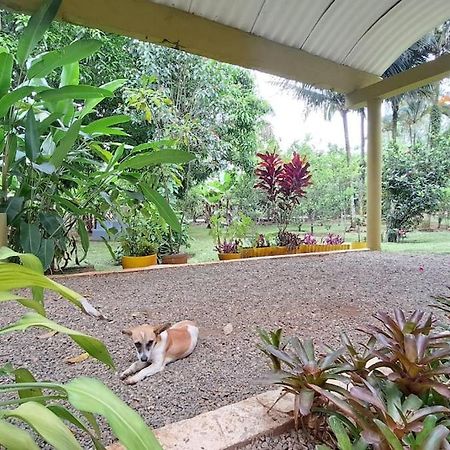 Villa Anacahuita, Limonal Jarabacoa Eksteriør bilde