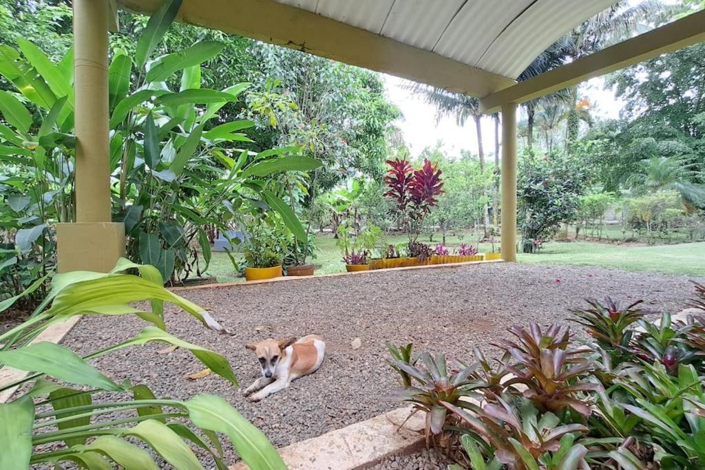 Villa Anacahuita, Limonal Jarabacoa Eksteriør bilde